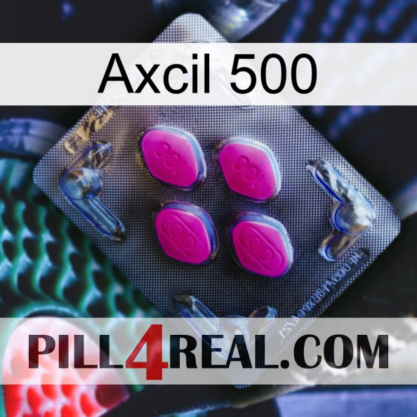 Axcil 500 02.jpg